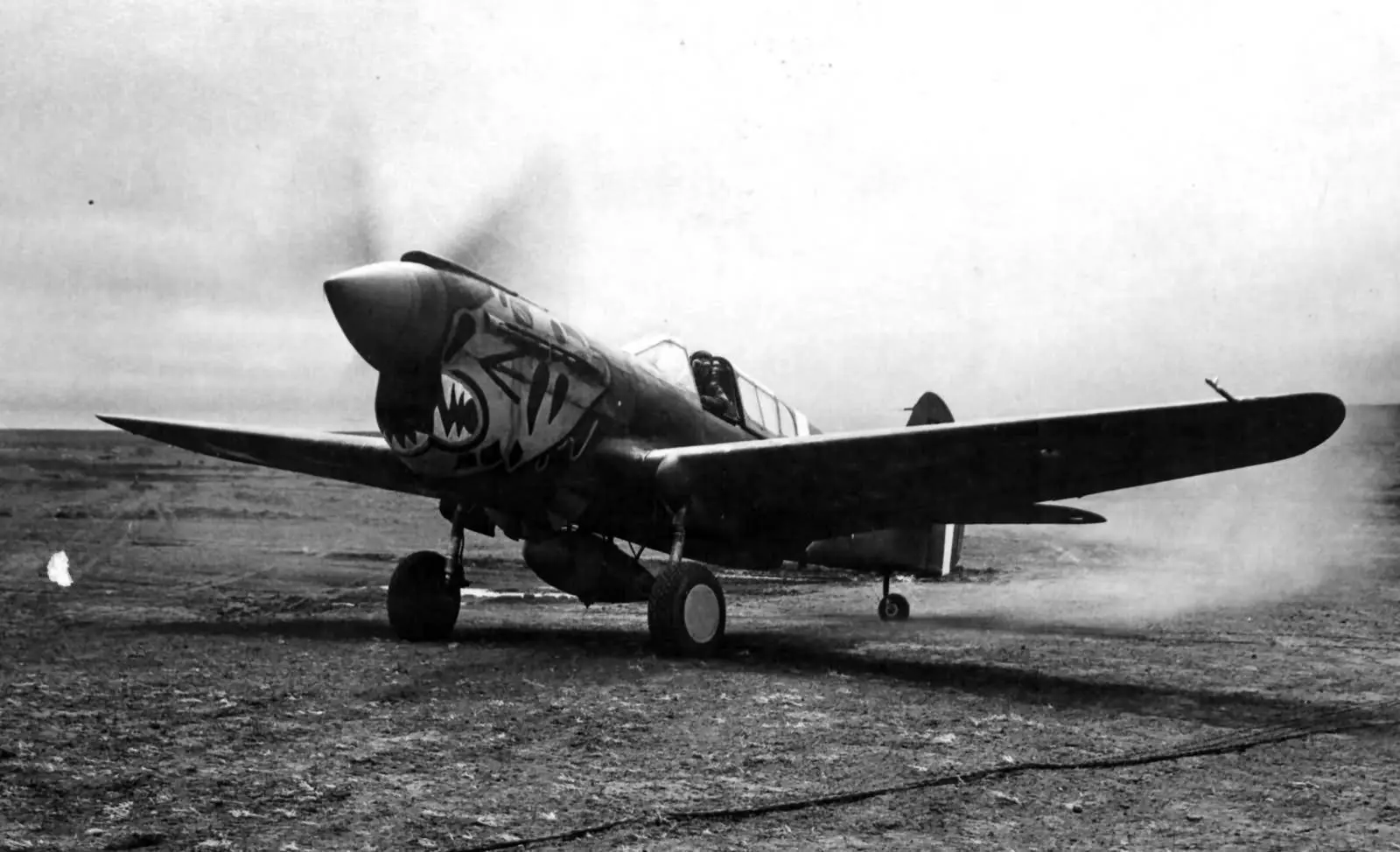 P 40 Warhawks 11th FS 343rd FG 11th AF Aleutian Tigers 1942 nose art
