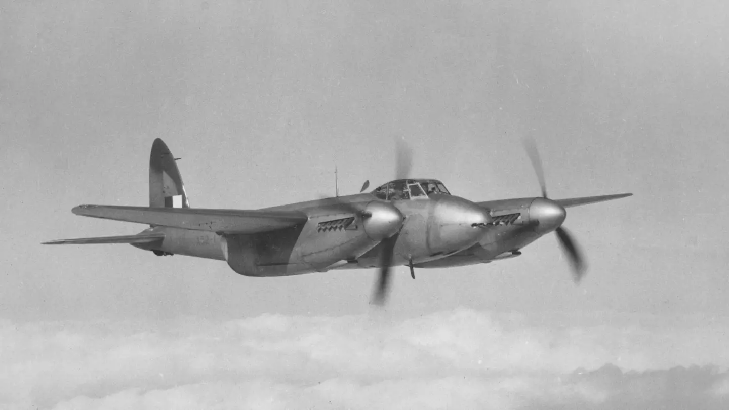 Mosquito in flight