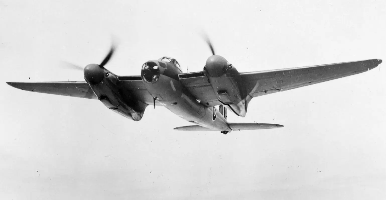 Mosquito in flight