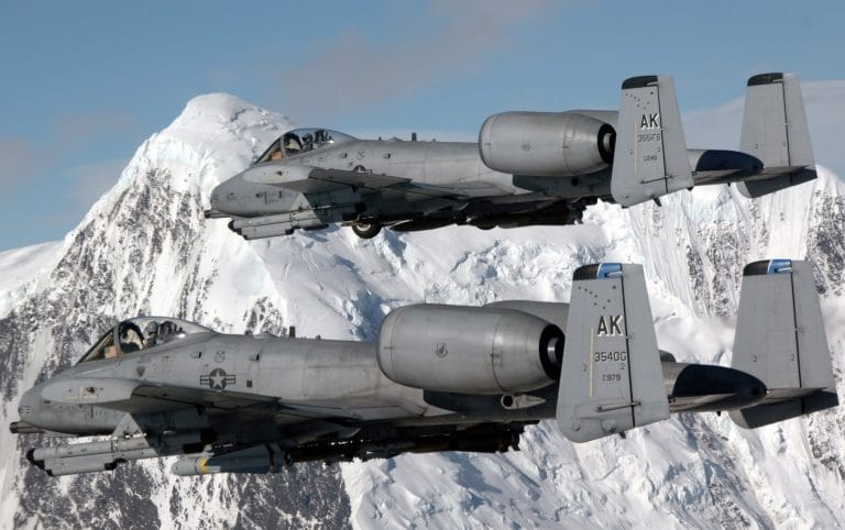 20 Fascinating Warthog Facts That You Probably Didn’t Know