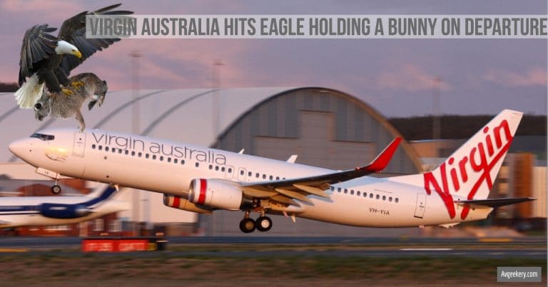 Eagle And Bunny Strike Forces Virgin Australia Emergency Landing in Melbourne