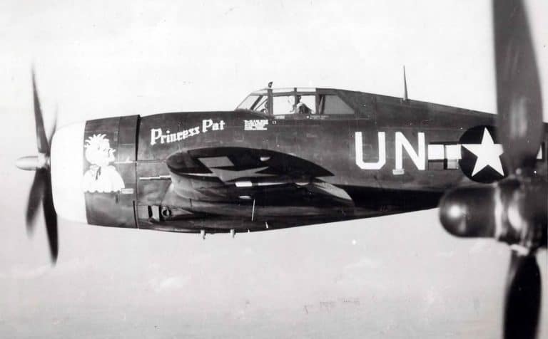 This Film Will Make You Feel Like You Flew a WWII Fighter Escort Mission Yourself!