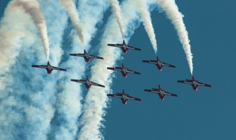 The Canadian Snowbirds: Watch Their 2017 Season in Review