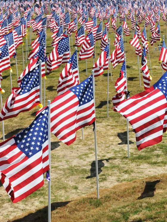 US Flags