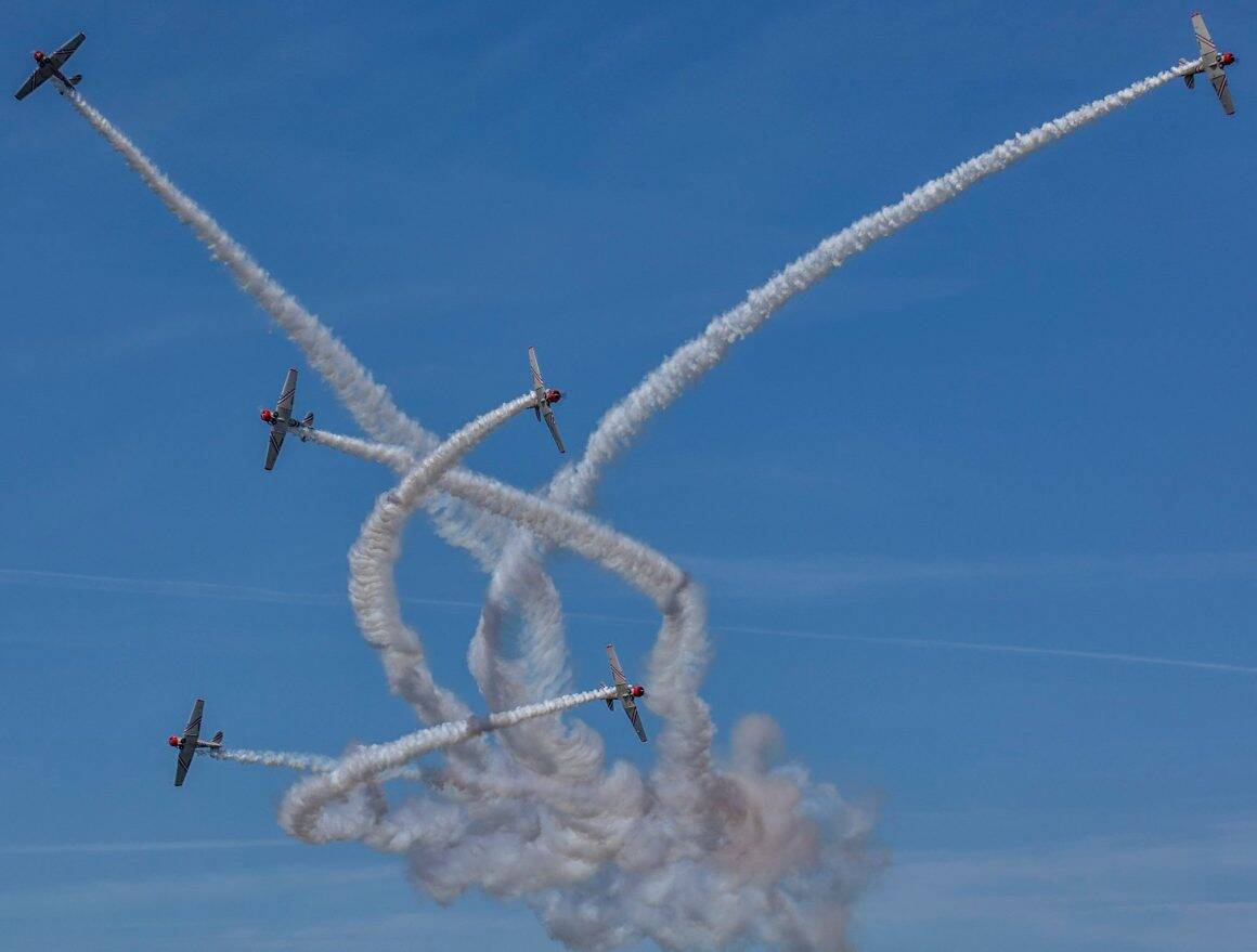 84666690 10158179084447948 5153812454274236416 o