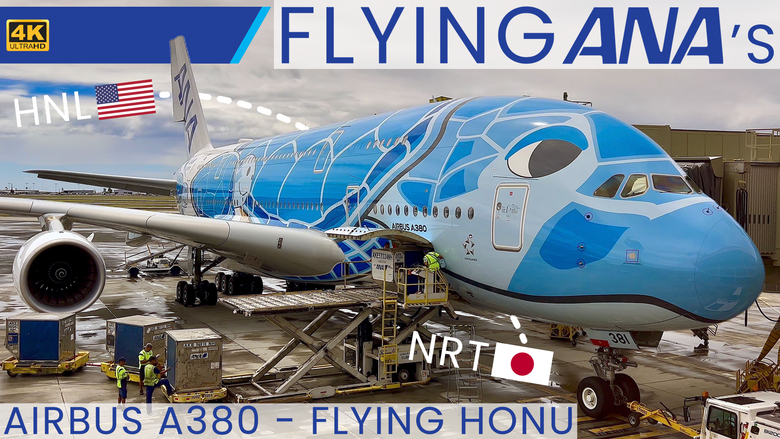 My Flight On The All Nippon Airways' Mighty A380 'Flying Honu'￼