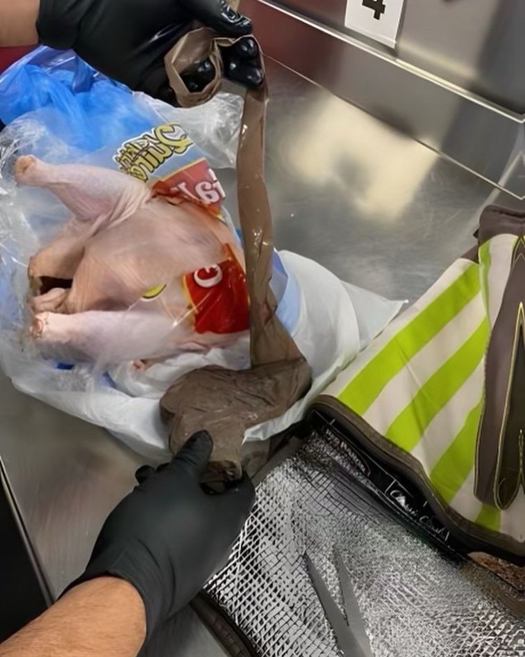 FLL TSA finds gun in raw chicken