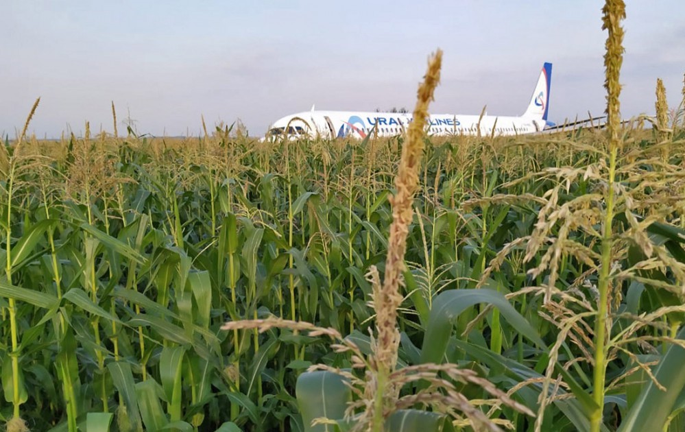 Ural Airlines Airbus A321 in a corn field