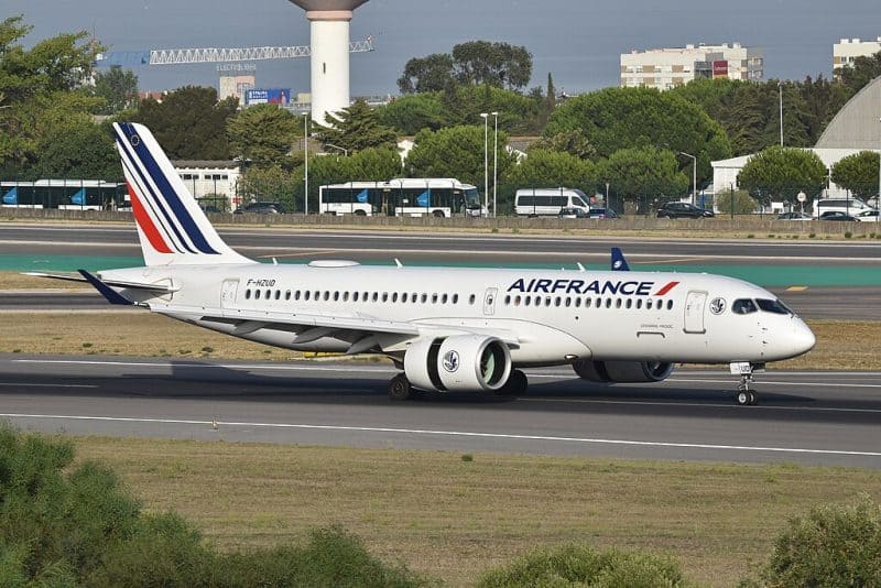 Lost Dog Causes France’s Largest Airport to Close Runways