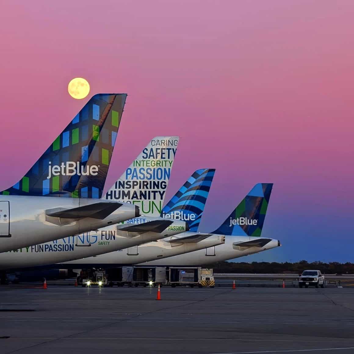 Wackadoo! JetBlue’s Exciting Onboard Upgrade: Bluey, Shows, and Gourmet Eats 4 JetBlue Tails