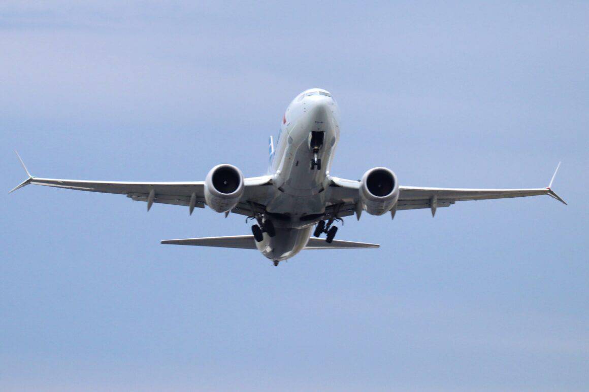 American Airlines 737 MAX 8 
